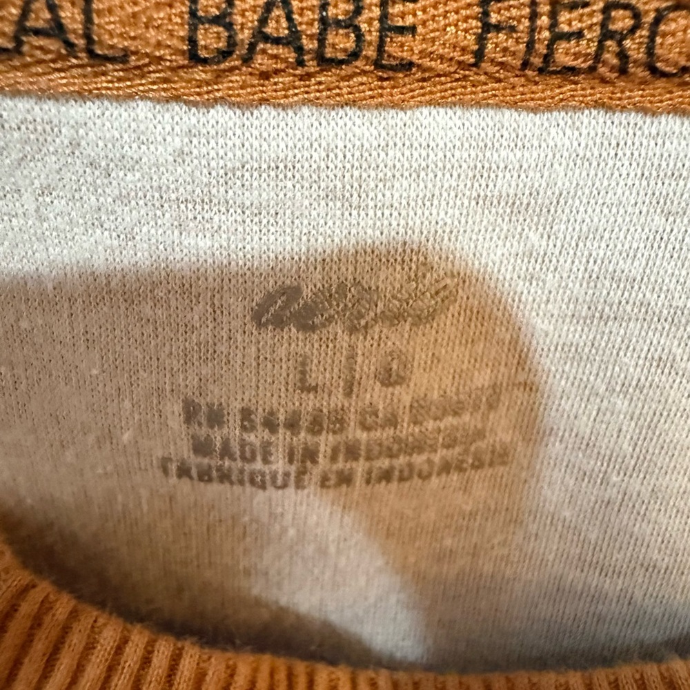 aerie OVERSIZED Comfy Sweatshirt Size Large - Picture 9 of 15
